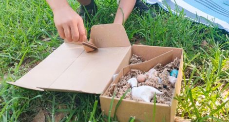 Boy exploring replicas of ancient Greek toys in Athens.
